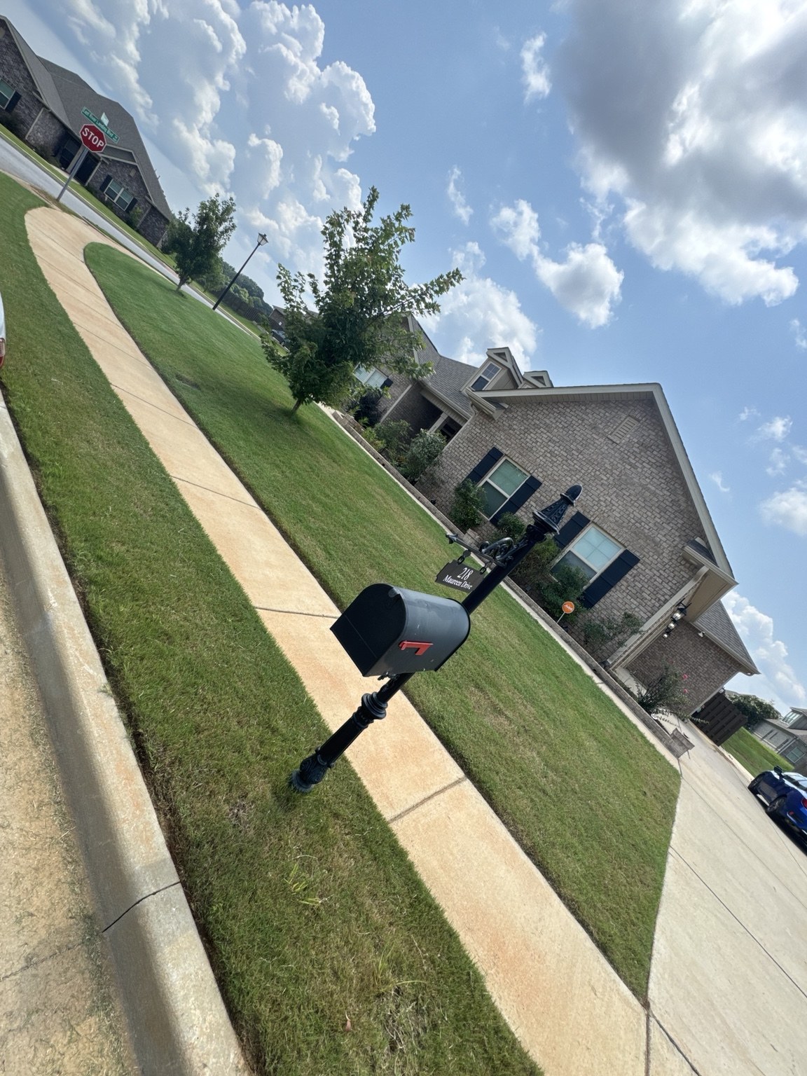 ELECTRIC GREEN LLC lawn-care project