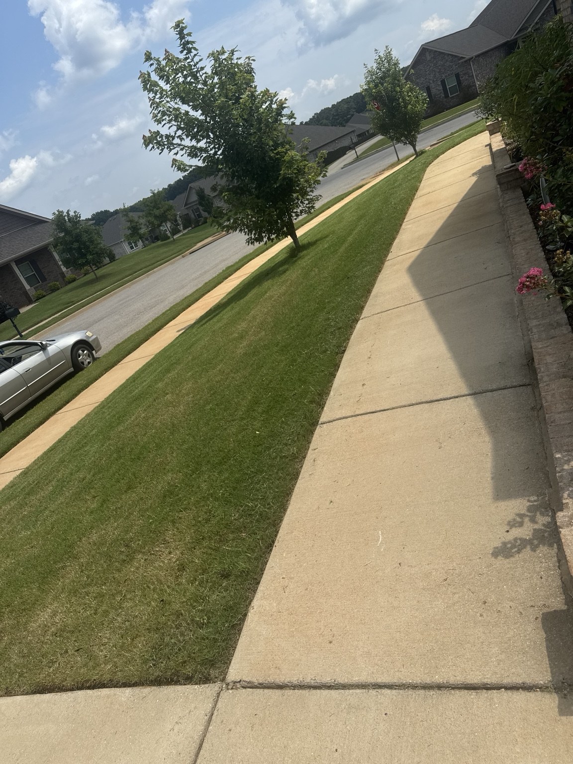 ELECTRIC GREEN LLC lawn-care project