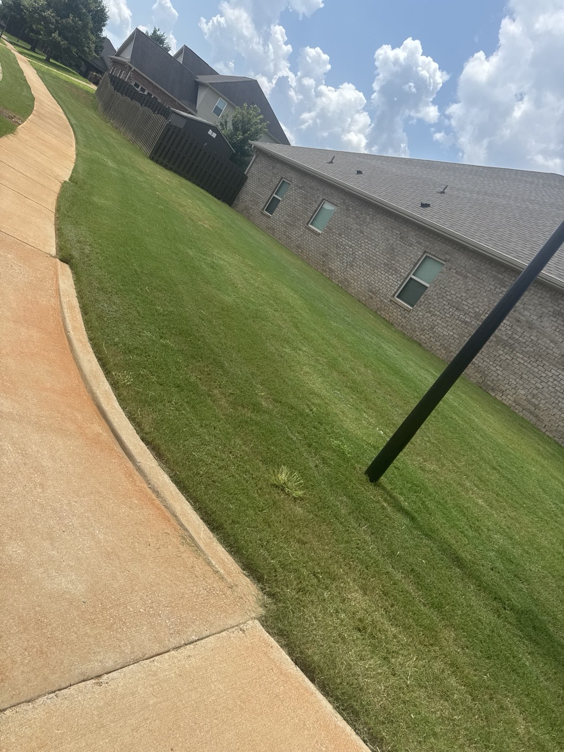 Well-maintained lawn in Madison, Alabama